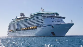 Cruise bookings stay strong despite hantavirus and norovirus outbreaks at sea