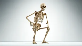 Squat Daily: Transform Your Body in 5 Minutes!