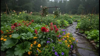 Monsoon Is The Perfect Time To Grow These Plants