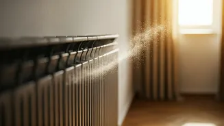 The Hidden Hazard: Why Your Radiator Laundry Routine is Triggering Sneezes