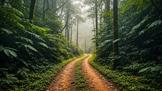 Why Young Indians Choose Western Ghats Over Crowded Hills