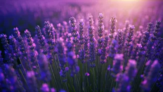 Flower-Season Travel Is Having A Gentle Moment