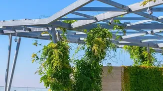 Urban Indians Are Using Flowering Plants To Add Seasonal Colour To Balconies And Terraces