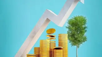 Why Regular Systematic Investment Plans Capitalise Fully On The Power Of Compounding