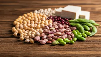 Kartik Aaryan's Plant-Based Diet: Protein Powerhouse!