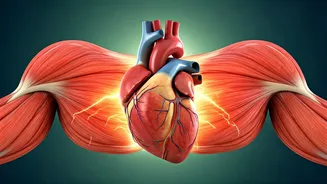 Unlocking Your Metabolism: Why Age Isn't the Only Culprit for Slowdown