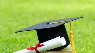 Skills now matter more than degrees