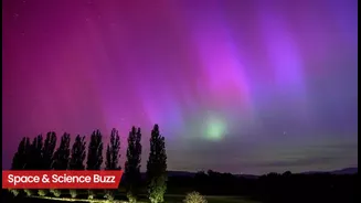 Science & Space Roundup: Top News of the Day (Feb 9)