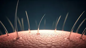 Stop Blaming Your Hair, Check Your Scalp