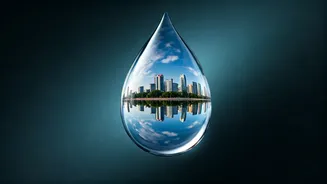 Delhi's Water Future: Surveying Usage for a Smarter Policy