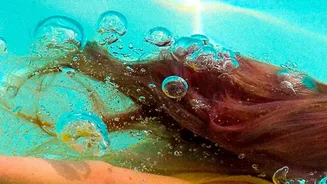 Stimulate vagus nerve response with cold water facial immersion for rapid anxiety control