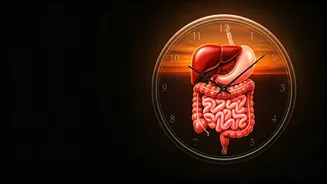 Why Eating After Sunset is a Health Hazard: Expert Insights for a Better Lifestyle