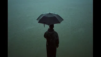 Depression Over Jharkhand Triggers Heavy Rain Alerts Across India
