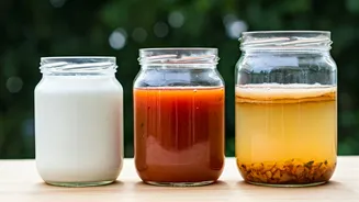Dahi, Kanji, Kombucha Make Gut Health Desi