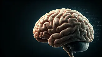 Your Handwriting: A Hidden Mirror to Your Brain's Health and Cognitive Decline