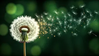 World Homoeopathy Day 2026: Unveiling Deeper Healing Beyond Surface Symptoms