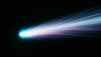 Interstellar comets: Cosmic samples