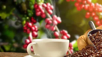 Coorg coffee estates become popular off season workation spots for Tier 2 remote workers