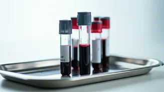 5 Blood Tests to Unlock Weight Loss