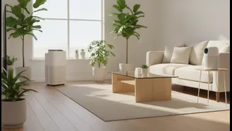Monsoon Home Care Is About Prevention, Not Masking Smells