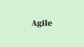 Word of the Day: Agile