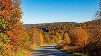 Coarsegold: A Perfect Autumn Getaway Near Yosemite