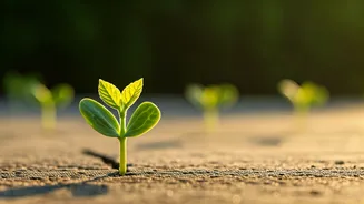 7 Habits: Nurturing Your Child's Leadership Potential