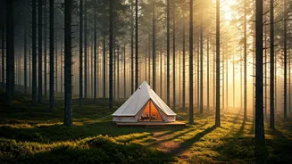 Pine Forest Valley Glamping Is The Ultimate Aesthetic Getaway