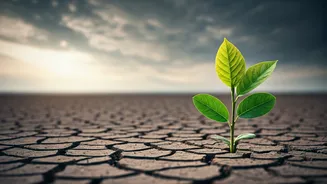 Navigating Toxic Family Dynamics: Strategies for Mental Peace When You Can't Leave