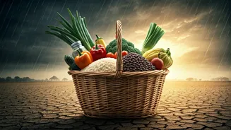 What India's Changing Rainfall Means For Your Grocery Bill