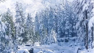 This Japanese technology can convert snow into electricity