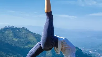 How Yoga Makes You More Flexible Simple Daily Asanas Every Beginner Can Learn Today