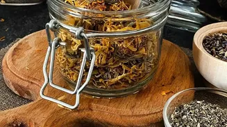 Enrich Balcony Plant Soil Easily Using Organic Compost From Kitchen Peels And Tea