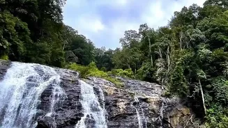 How Bengaluru Travelers Discover Picturesque Waterfalls On Drives To Chikmagalur And Wayanad