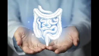 Médica cita tempo para o intestino se recuperar após consumo de álcool