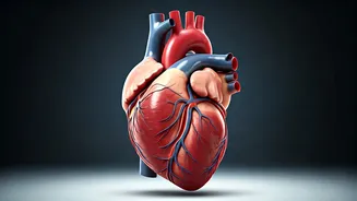 Melatonin's Hidden Impacts: A Cardiologist's Insights