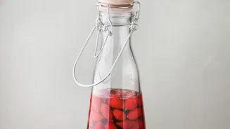 Cold-Pressed Fruit Vinegar Shrubs Modernise Cafe Beverage Offerings With Natural Fermented Ingredients Today