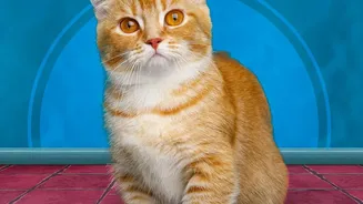 Update Pet Photos, Contacts and Routine Notes in One Secure File