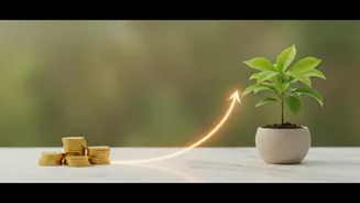 The Beginner's Path From Saving Money To Investing