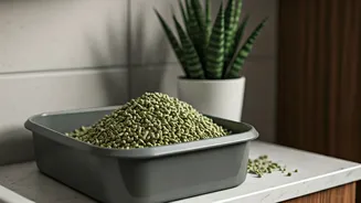 The Best Green Cat Litter Option Is Made From Plants