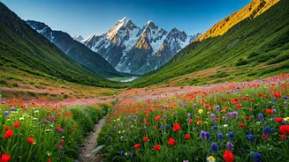 Valley Of Flowers Trek Open Post Long Winter Freeze