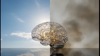Cleaner Air Belongs In The Conversation About Cognitive Well-Being