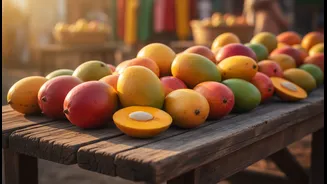 Mango Festivals: the facts, practical impact and remaining questions