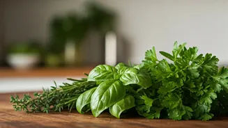 Unlocking Wellness: The Surprising Health Benefits of Everyday Culinary Herbs
