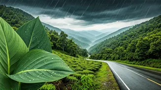Monsoon Trips Need Beauty, Not Landslide Anxiety