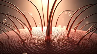 Revitalize Your Scalp: The Ultimate Guide to Hair Regrowth Massages for Thinning Areas