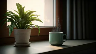 Seasonal Wellness Starts At Home