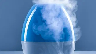 Monsoon Home Odour: How Humidity Can Create That Familiar Damp Smell