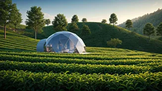 Luxury Eco Domes Offer Privacy In Lush Tea Gardens