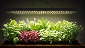 Full-Spectrum LEDs Are The Urban Gardening Hack